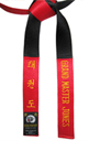 Deluxt Satin Red & Black Panel Belt